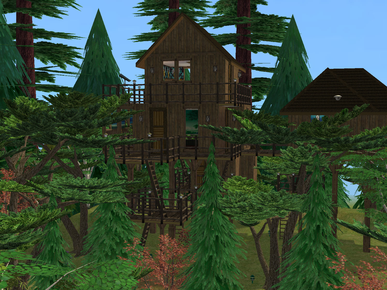 isrrascal_s_tree_house.jpg